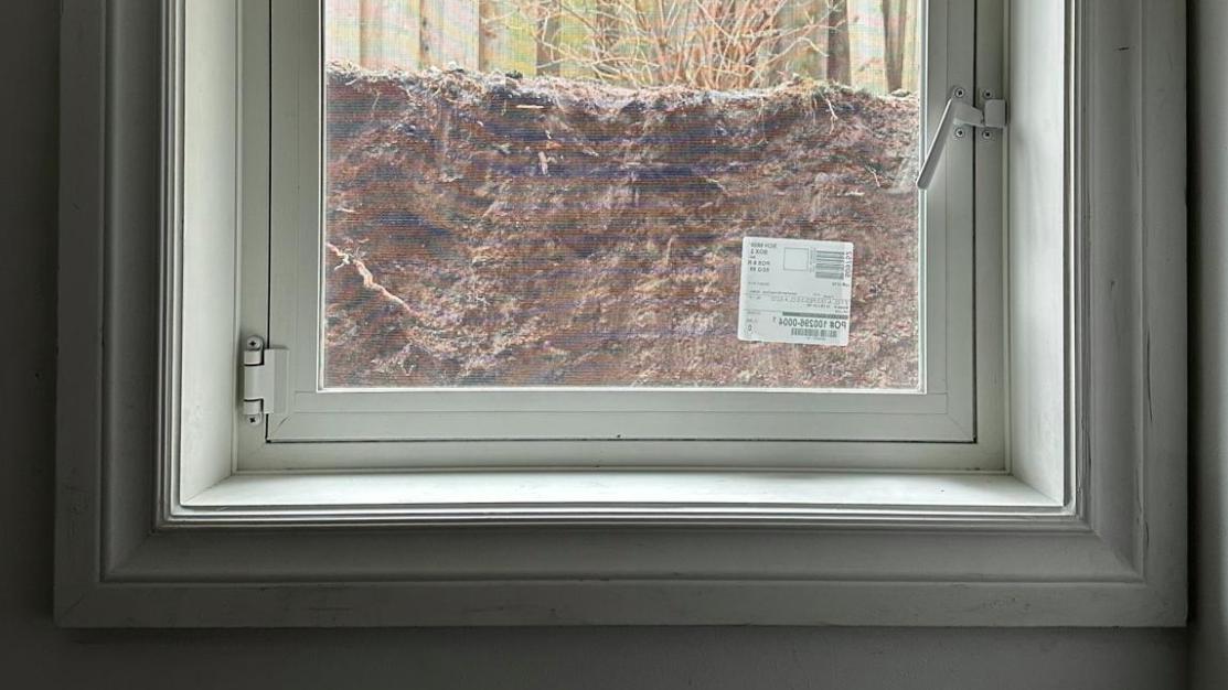 Below-grade egress window looking out at the soil line