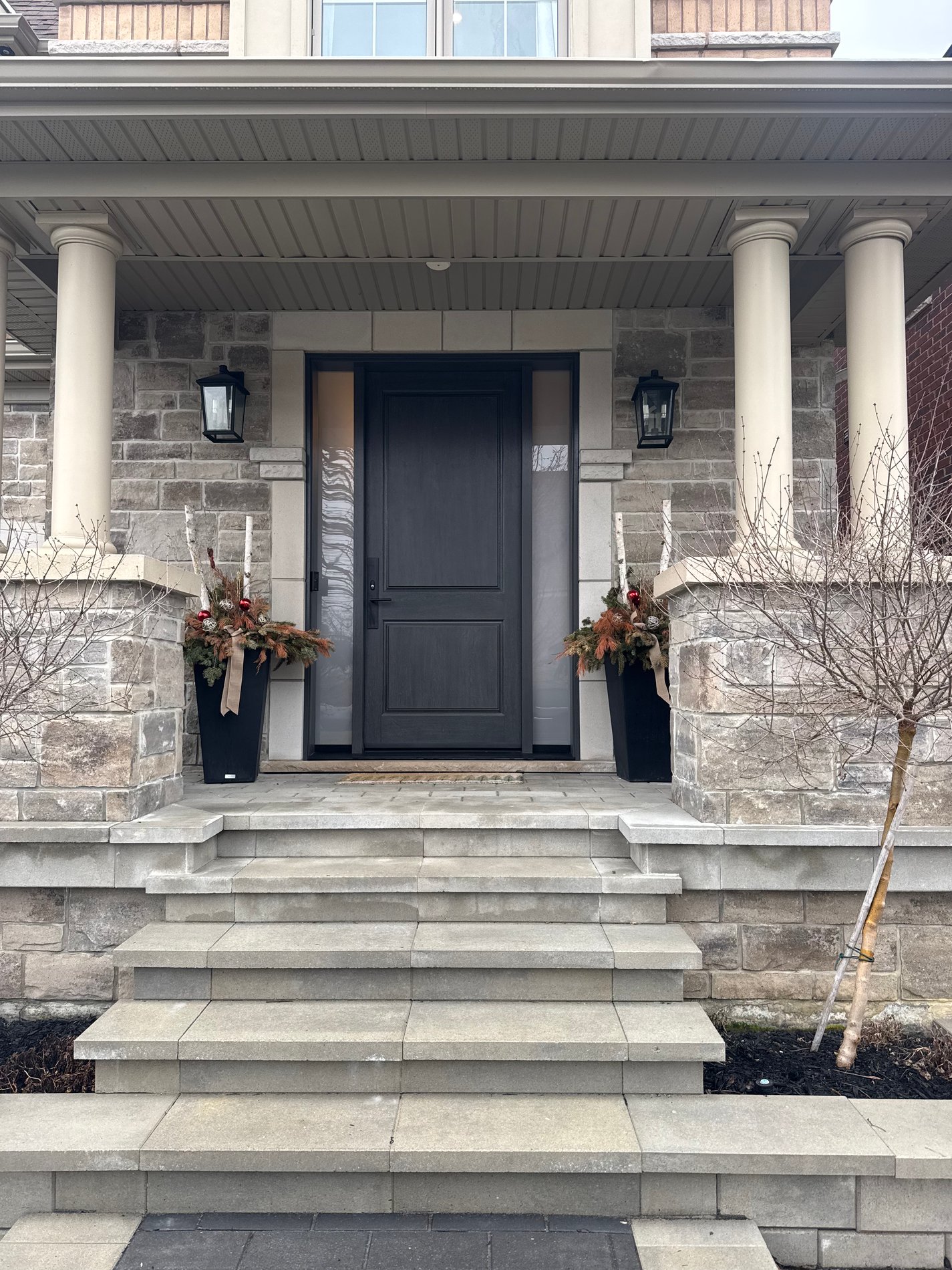 Front entrance with decorative plants and a new door