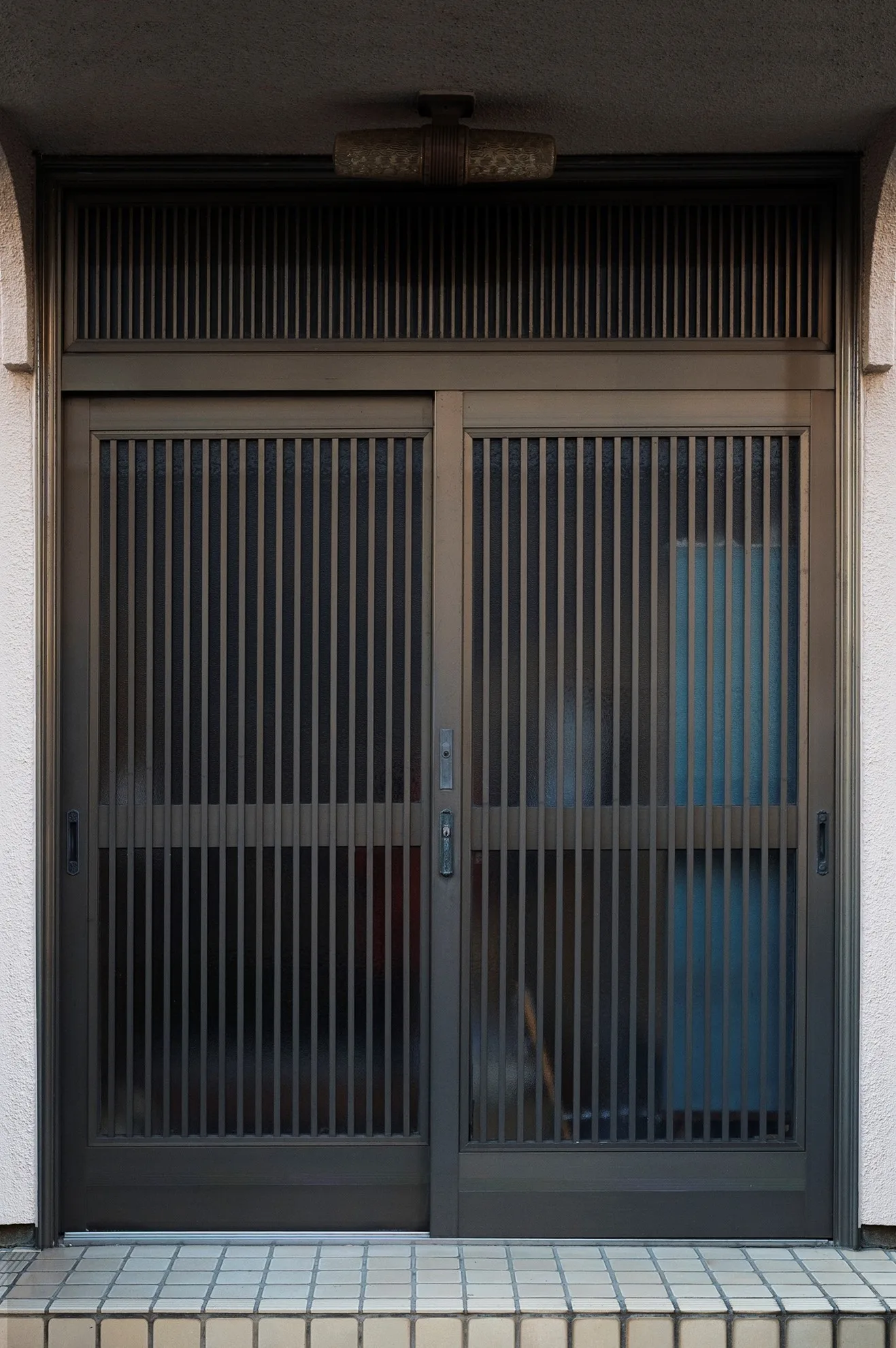 Steel Frames door 