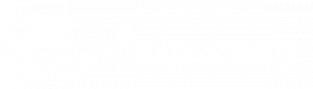 Logo Placeholder